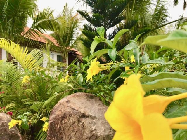 Bamboo Garden Resort Phu Quoc Extérieur photo